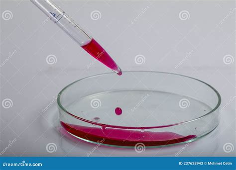 will pipette get contaminated if there is liquid inside it|can pipette be contaminated.